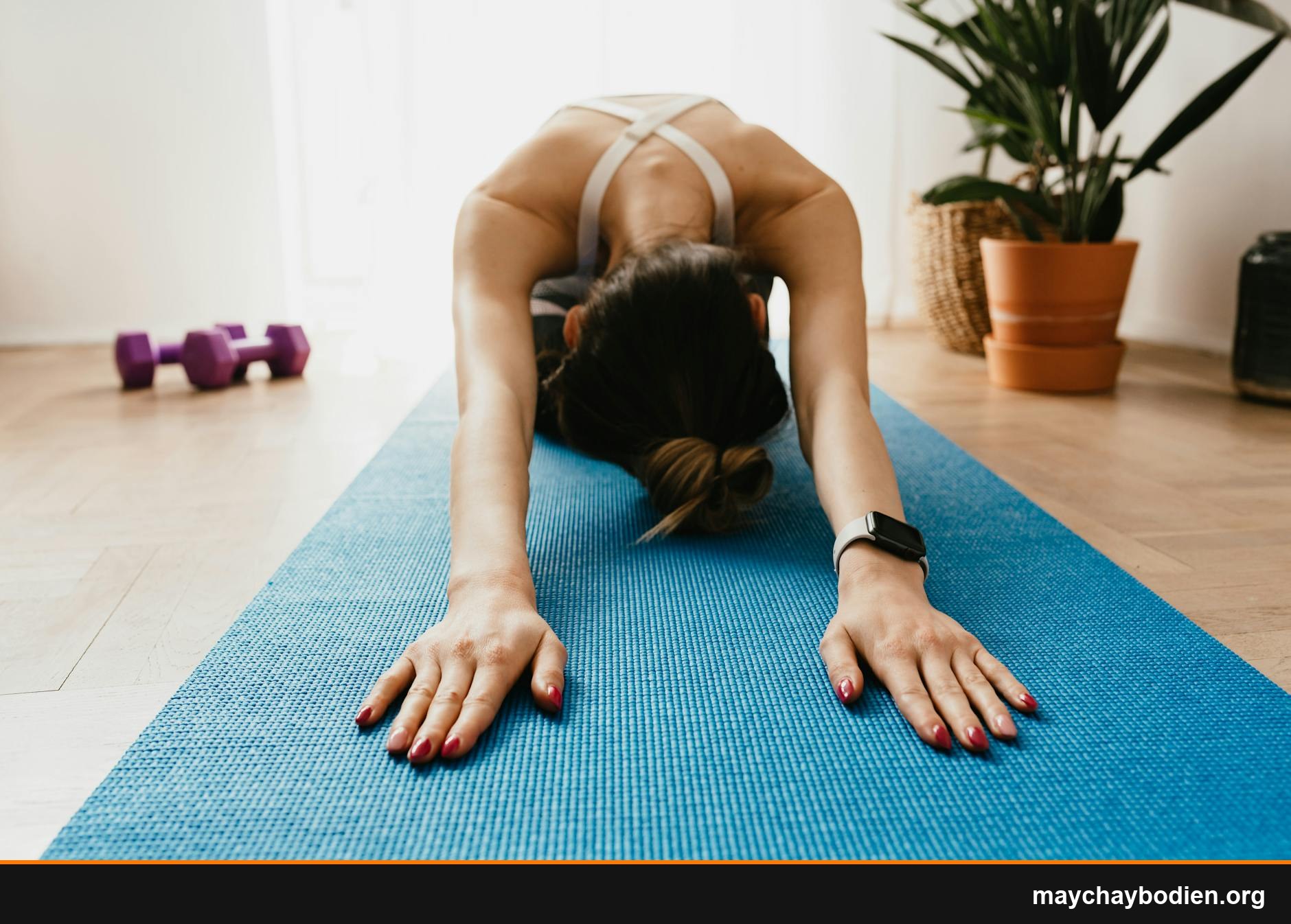 bài tập yoga cho người mới bắt đầu hướng dẫn