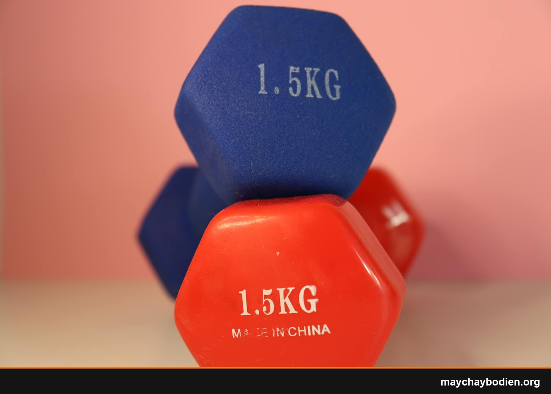 lịch tập gym tại nhà 7 ngày hướng dẫn sử dụng