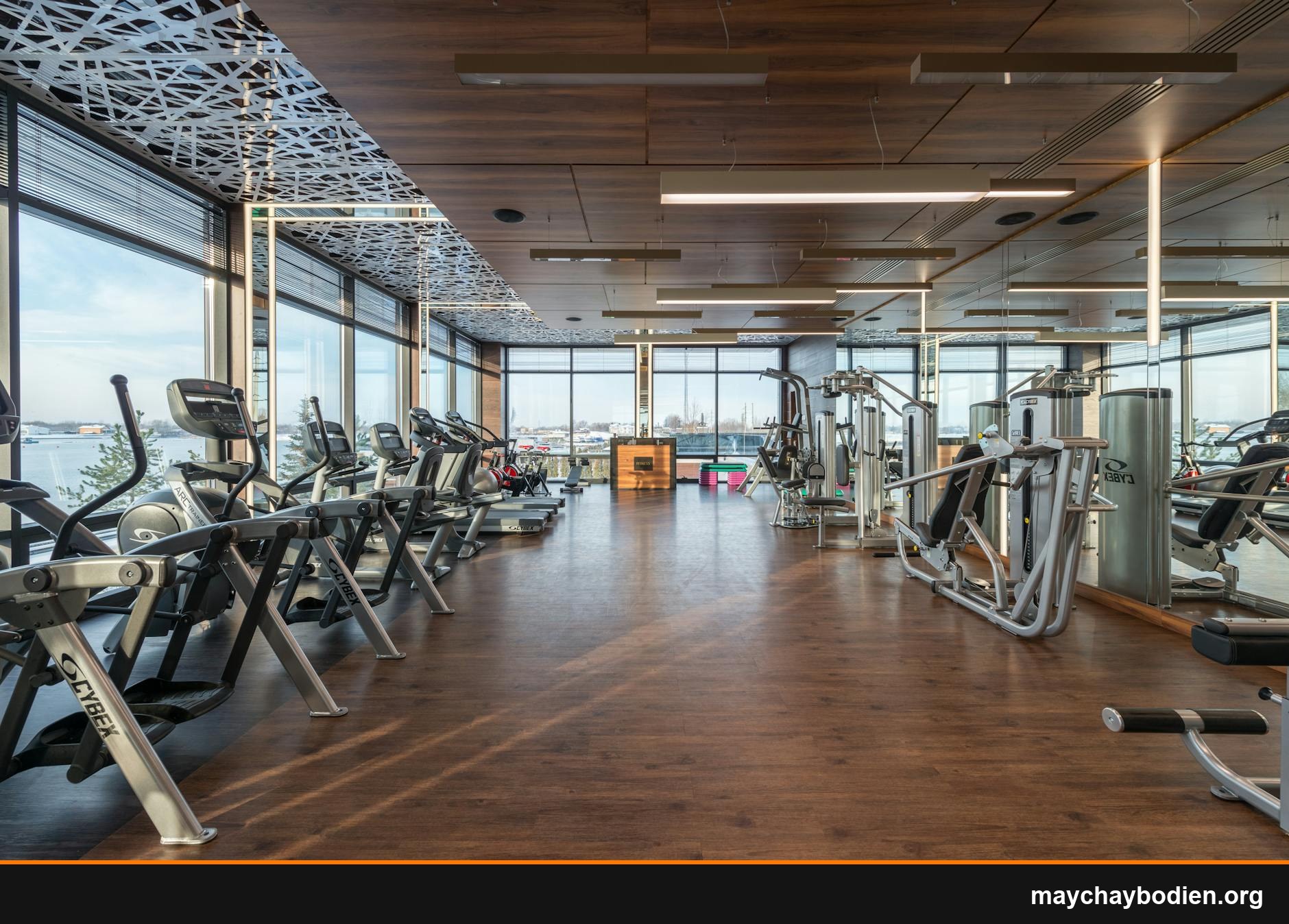 tập cardio bao nhiêu phút mỗi ngày