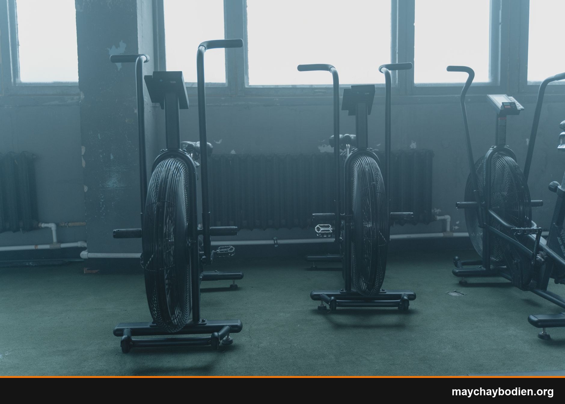 bài tập cardio đốt mỡ hiệu quả nhất