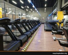 máy chạy bộ cho người cao tuổi