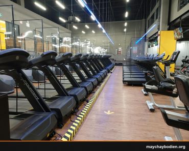 máy chạy bộ cho người cao tuổi