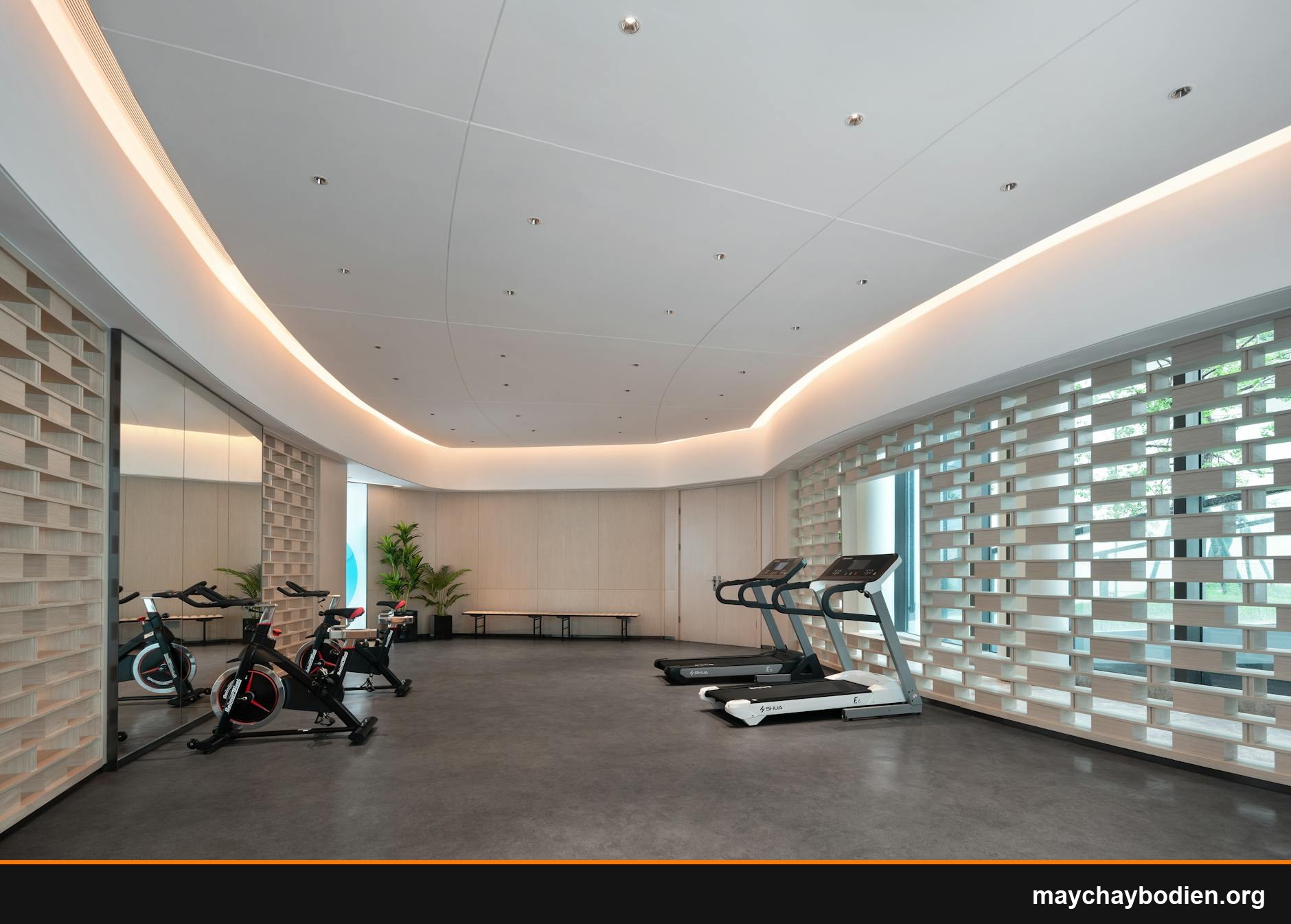 máy chạy bộ có giảm cân không
