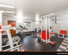 máy chạy bộ hay xe đạp tập loại nào tốt hơn