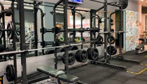 tập thể hình tại nhà cho người mới bắt đầu