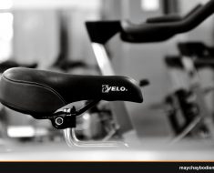 xe đạp ngồi recumbent là gì có tốt không