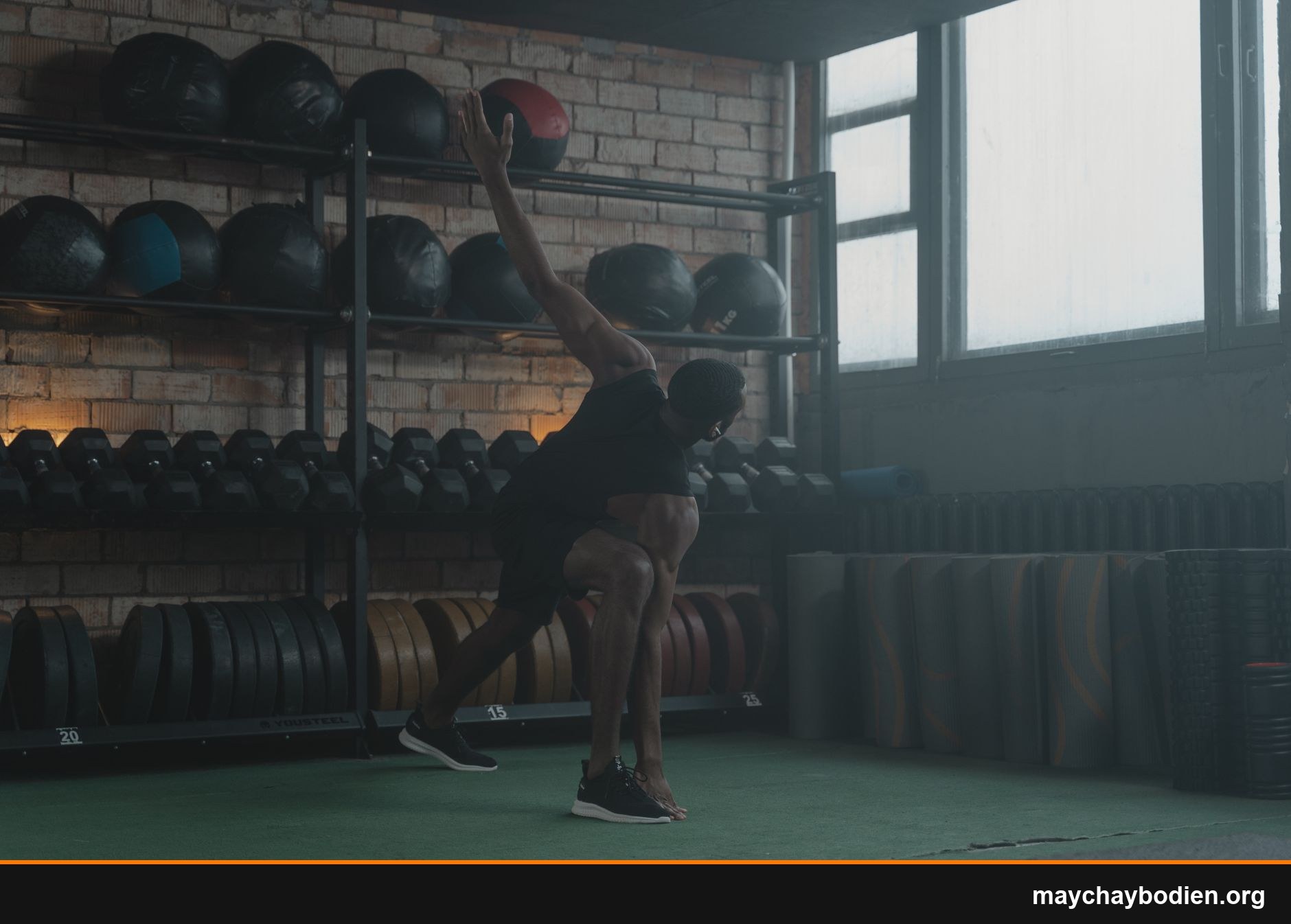 bài tập toàn thân cho người mới tập gym hướng dẫn
