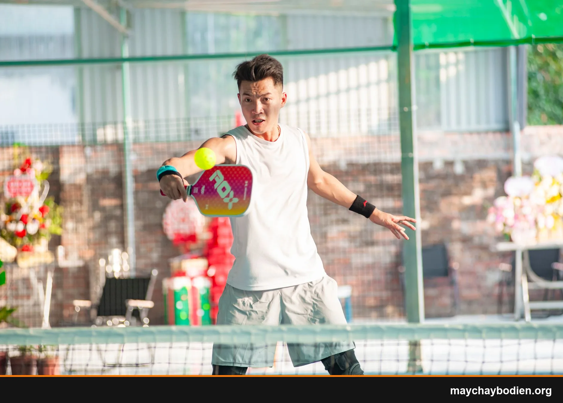kỹ thuật đánh pickleball cơ bản serve dink volley hướng dẫn