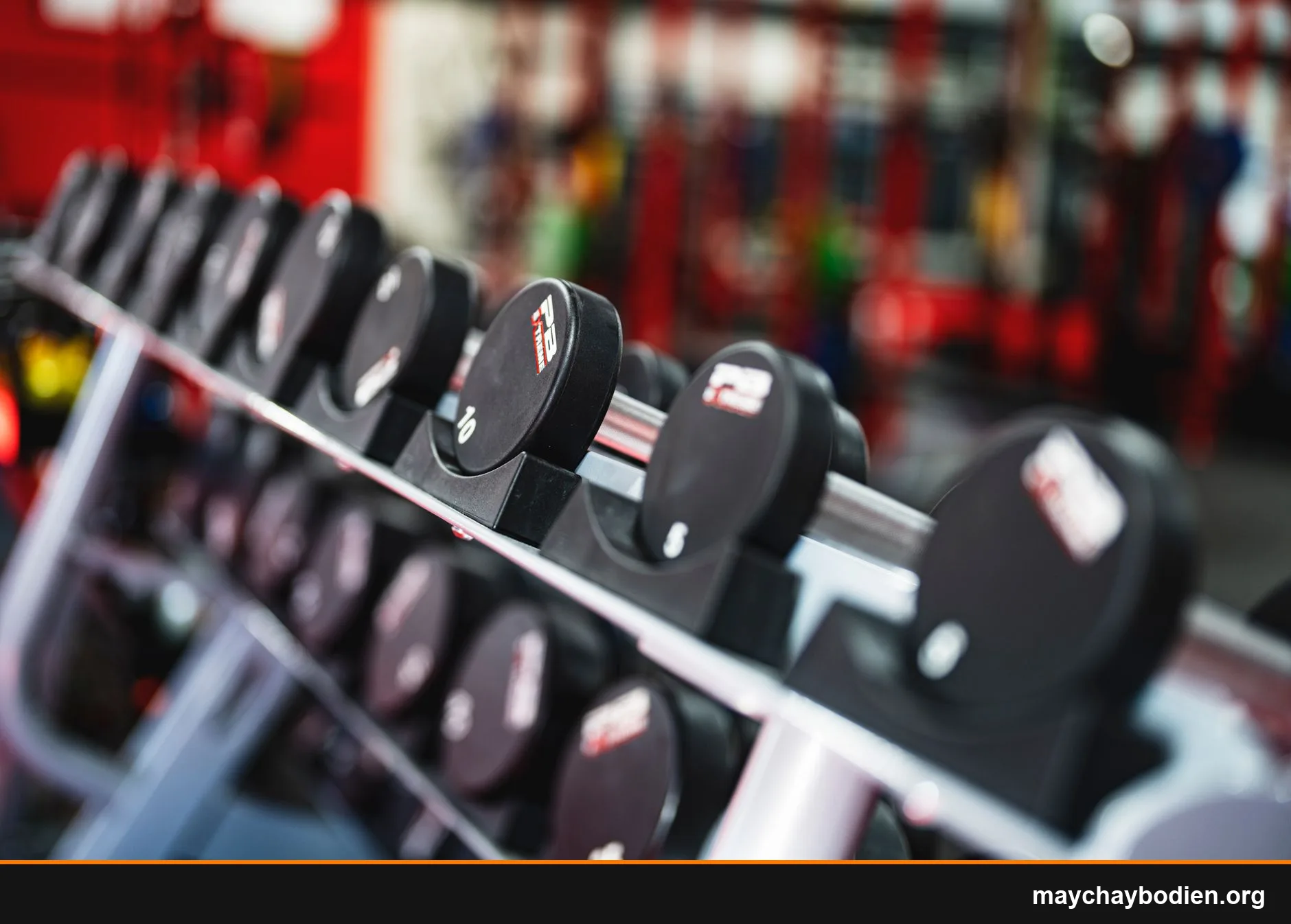 dumbbell hay barbell tốt hơn cho người mới tập gym hướng dẫn