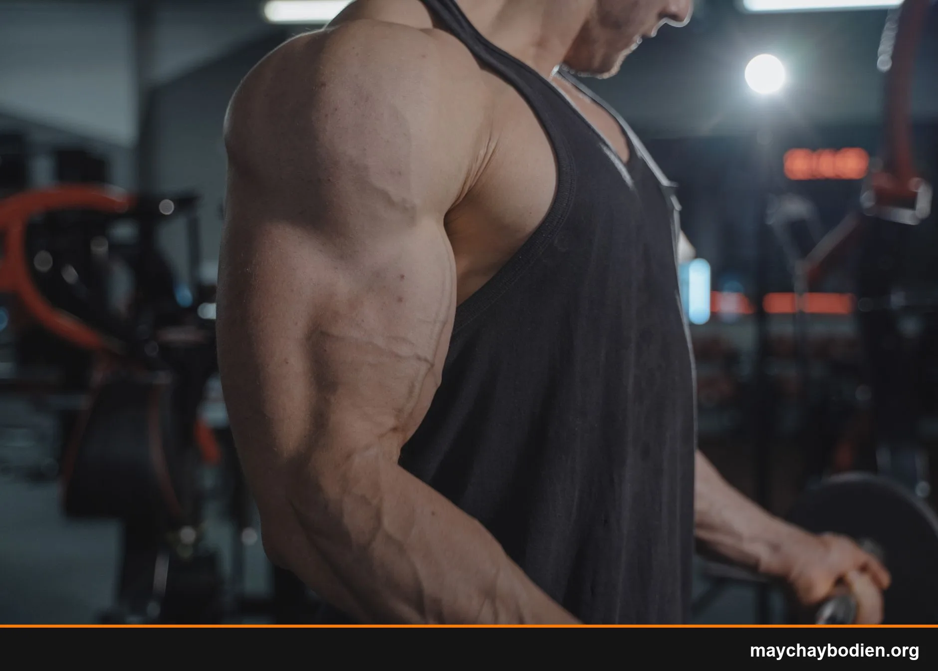 có nên tập tay trước và tay sau cùng ngày không hướng dẫn