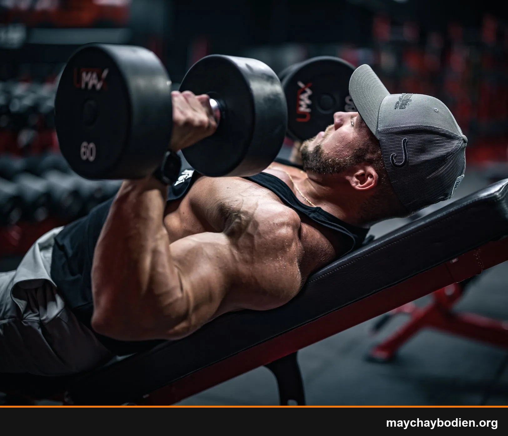 ghế tập gym tại nhà loại nào tốt nên mua không hướng dẫn