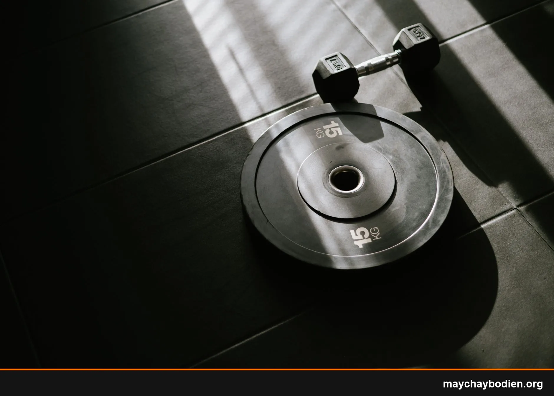 thanh tạ đòn barbell bao nhiêu kg là đủ cho người mới