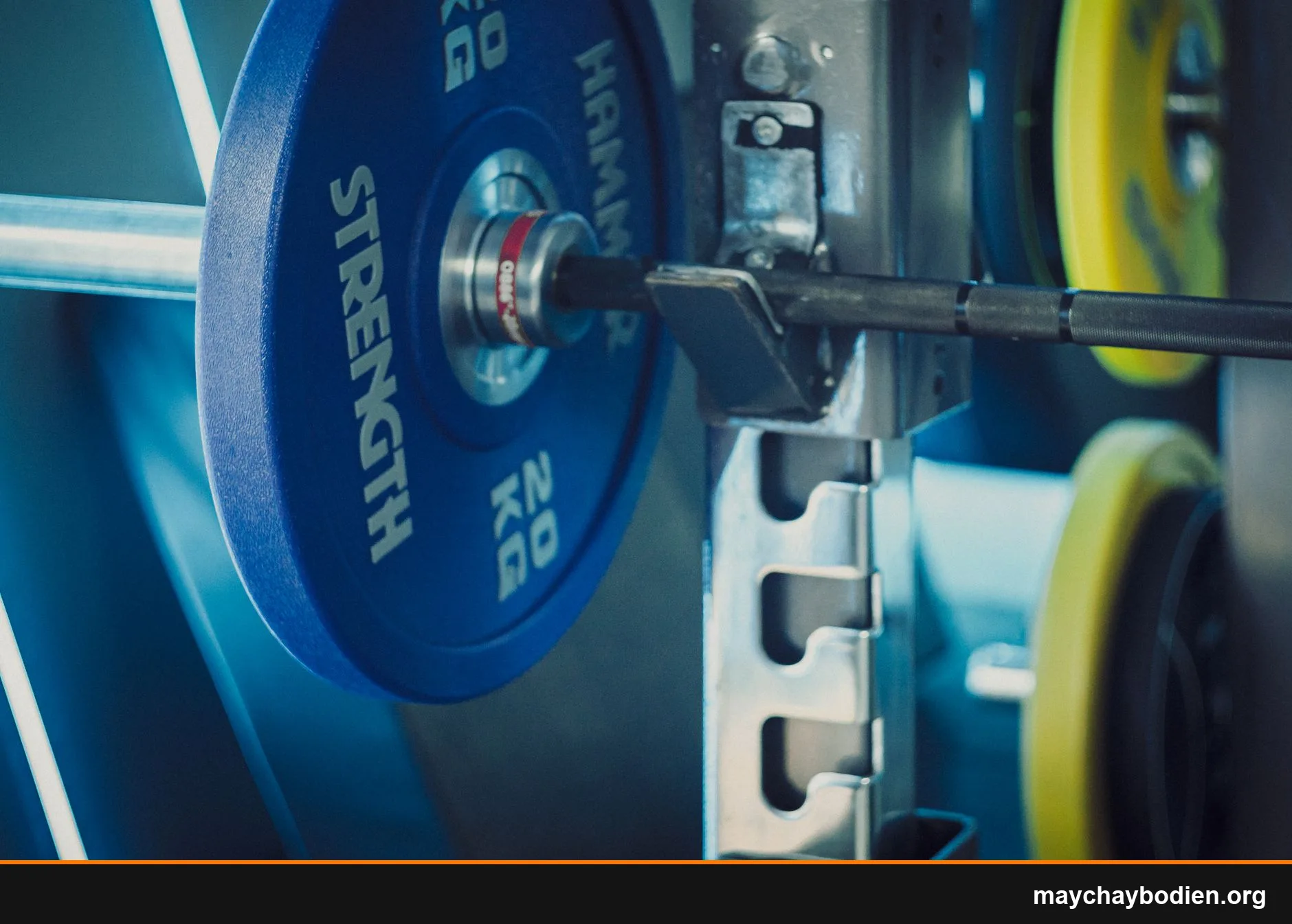 thanh tạ đòn barbell bao nhiêu kg là đủ cho người mới hướng dẫn